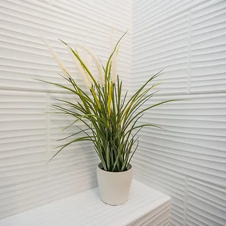 Kosic Apartment *